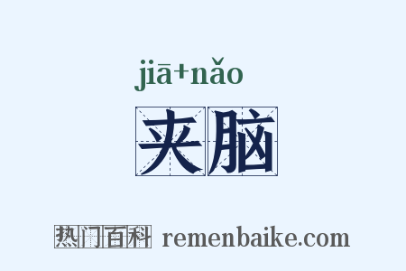 夹脑是什么意思的图片